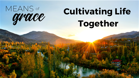 Means Of Grace: Cultivating Life Together