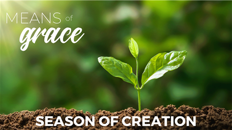 Means Of Grace: Season of Creation